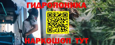 мяу мяу мука Усть-Илимск