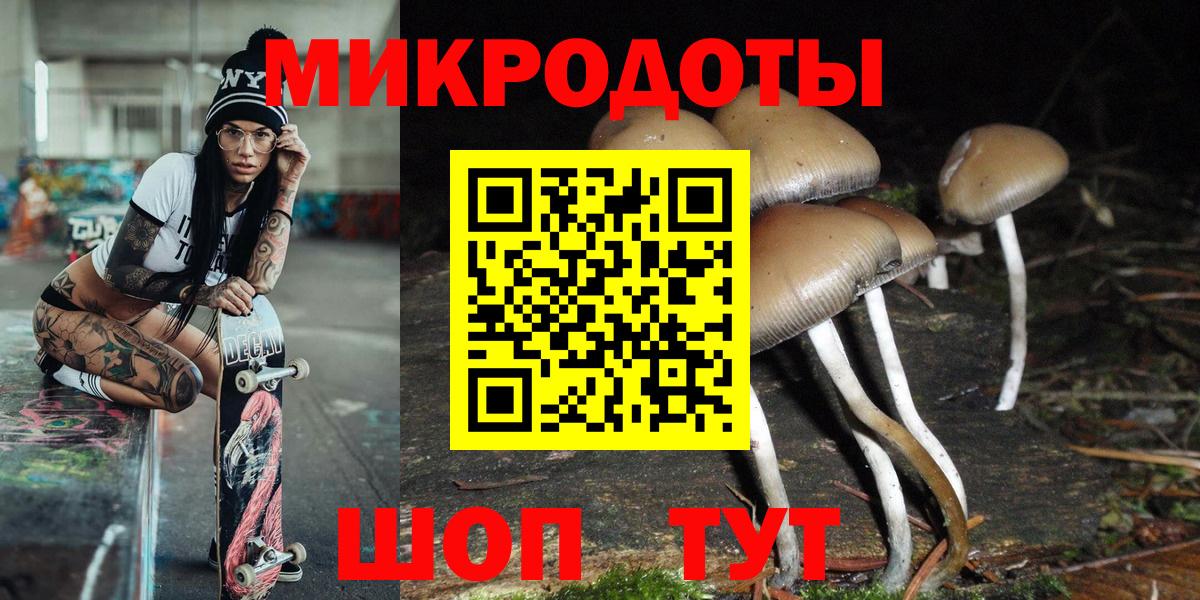 закладка  Вход с VPN  Чапаевск  Псилоцибиновые грибы Psilocybe  Псилоцибиновые грибы Psilocybe 