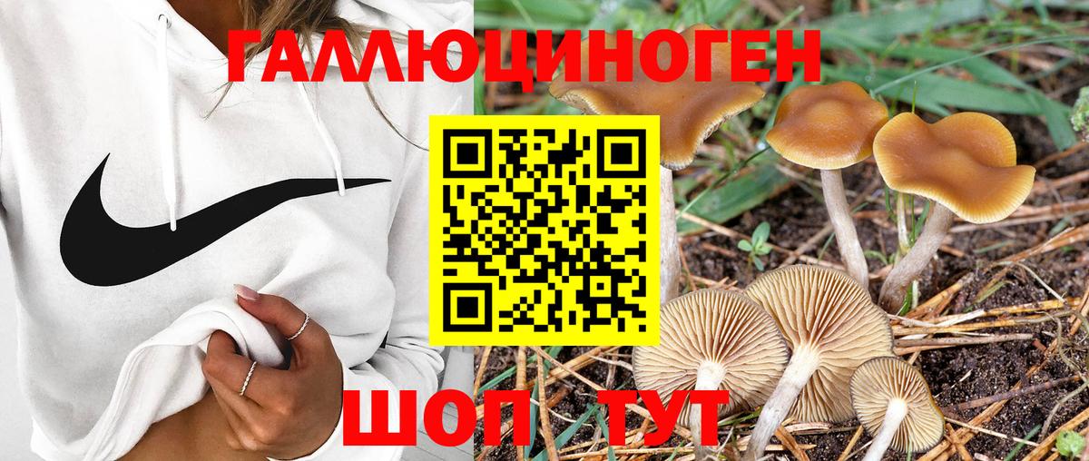 Галлюциногенные грибы Cubensis Чапаевск
